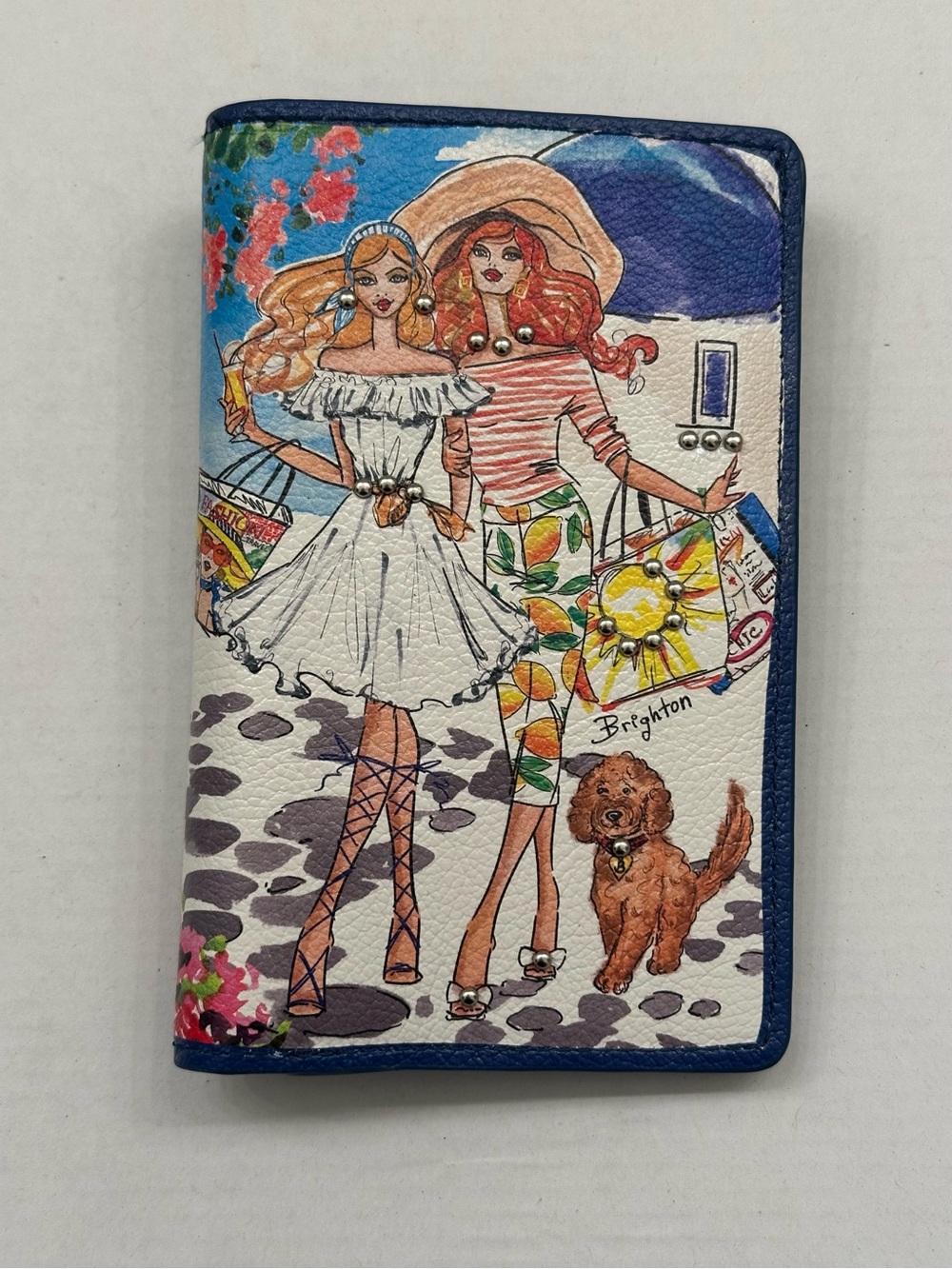 Brighton Illustrated Travel Wallet | Blue 6” x 4”